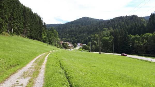 Black Forest Family Apartment-zum Letzten G'stehr * Bad Rippoldsau-Schapbach