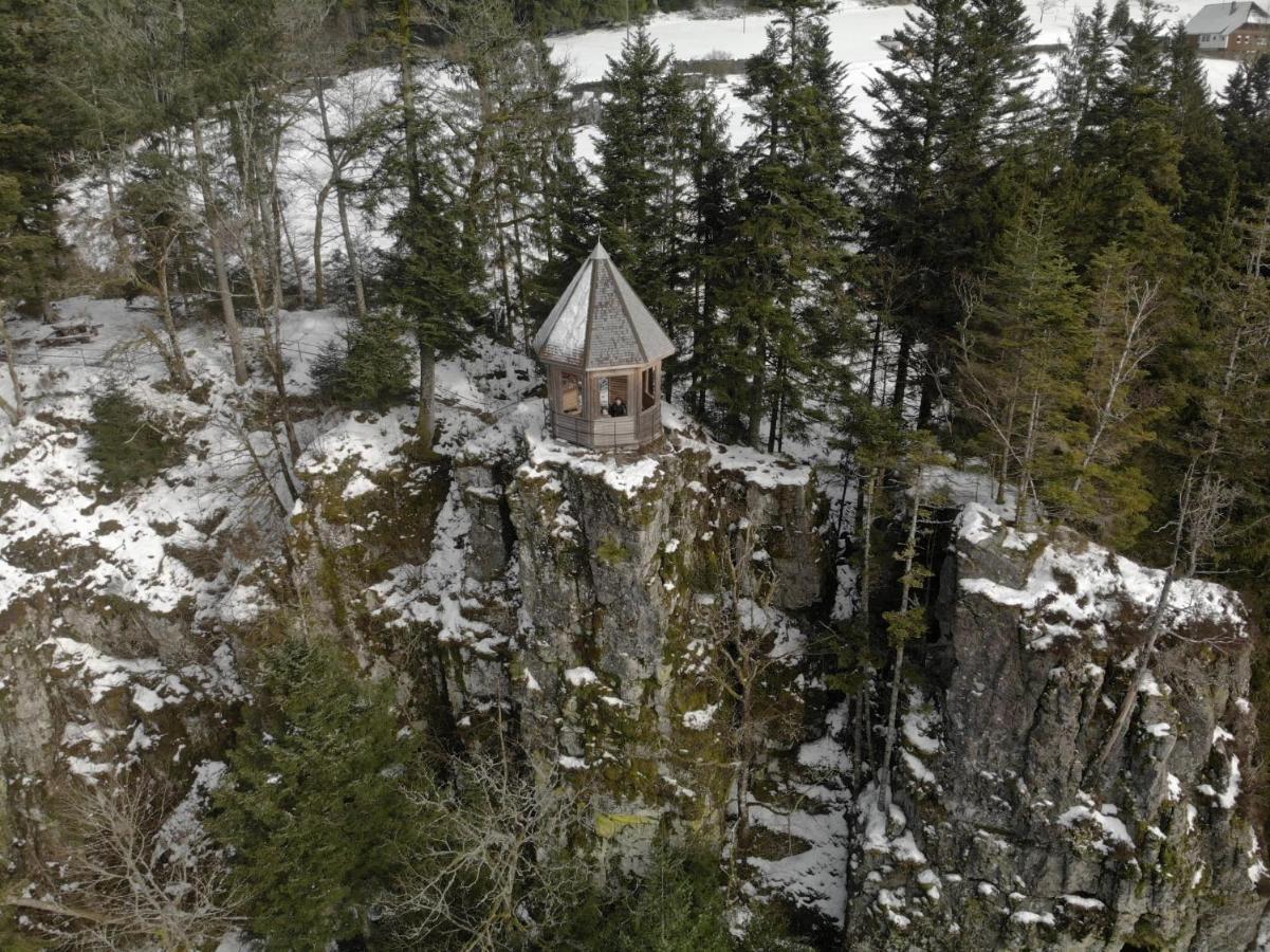 Apartment Black Forest Family Apartment-zum Letzten G'stehr Bad Rippoldsau-Schapbach